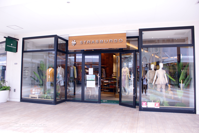 アパレル店頭に飾るグリーンディスプレイ